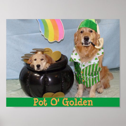 Golden Retriever Leprechaun's Pot of Golden Poster (Voorkant)