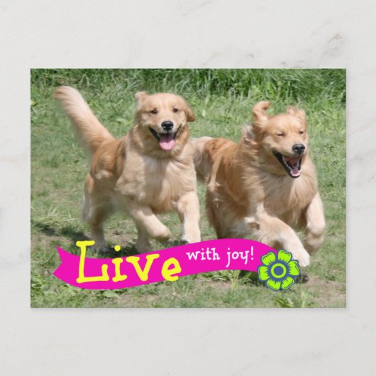 Golden retriever Levend met Vreugde Briefkaart (Voorkant)
