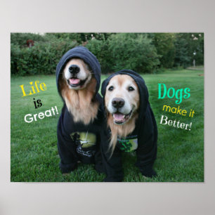 Golden Retriever Life is geweldig Poster