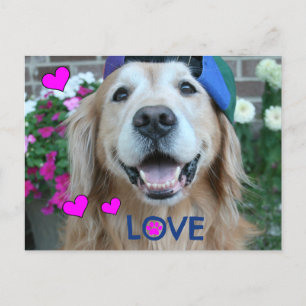 Golden Retriever Love Briefkaart