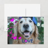 Golden Retriever Love Briefkaart (Voorkant / Achterkant)