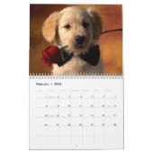 Golden Retriever Lovers Calendar Kalender (Feb 2026)