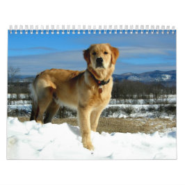 Golden Retriever Lovers Calendar Kalender
