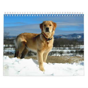 Golden Retriever Lovers Calendar Kalender