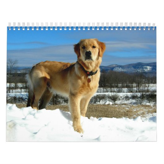 Golden Retriever Lovers Calendar Kalender (Hoes)