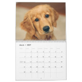 Golden Retriever Lovers Calendar Kalender (Mar 2027)