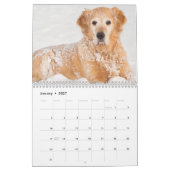 Golden Retriever Lovers Calendar Kalender (Jan 2027)
