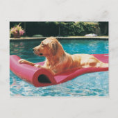 Golden Retriever Lying on a Air Bed in a Briefkaart (Voorkant)