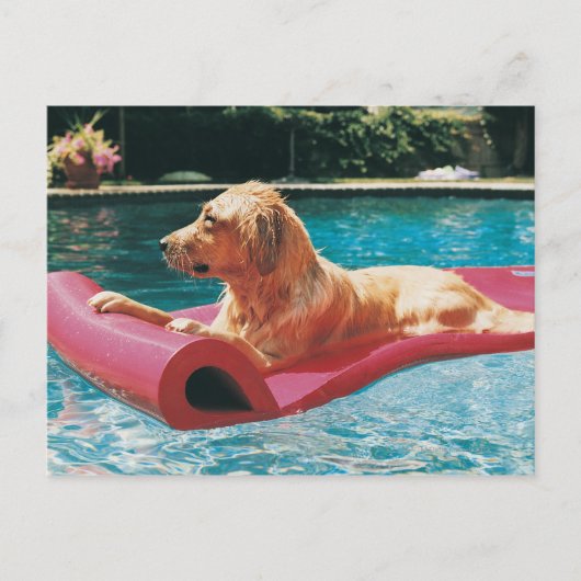 Golden Retriever Lying on a Air Bed in a Briefkaart (Voorkant)