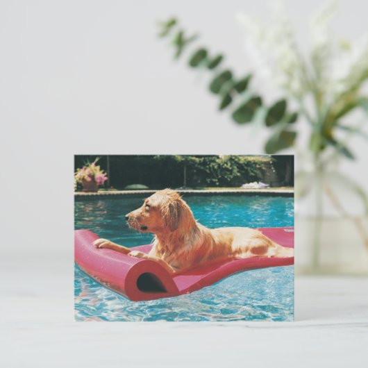 Golden Retriever Lying on a Air Bed in a Briefkaart (Staand voorkant)