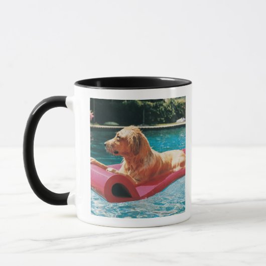 Golden Retriever Lying on a Air Bed in a Mok (Links)