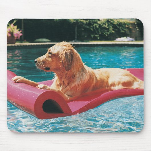 Golden Retriever Lying on a Air Bed in a Muismat (Voorkant)