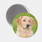 Golden Retriever Magneet (Voorkant / Achterkant)