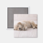 Golden Retriever Magneet (Voorkant / Achterkant)