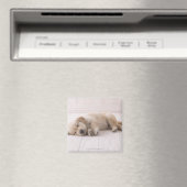 Golden Retriever Magneet (Insitu (Vaatwasser))