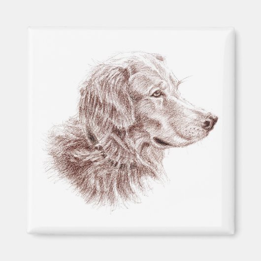 Golden Retriever Magneet (Voorkant)