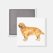 Golden Retriever Magneet (Voorkant / Achterkant)