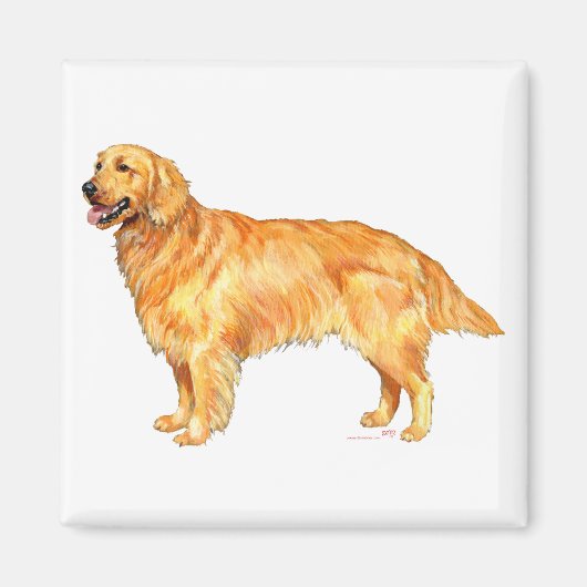 Golden Retriever Magneet (Voorkant)