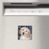 Golden Retriever Magneet (Insitu (Vaatwasser))