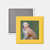 Golden Retriever Magnet (Voorkant / Achterkant)
