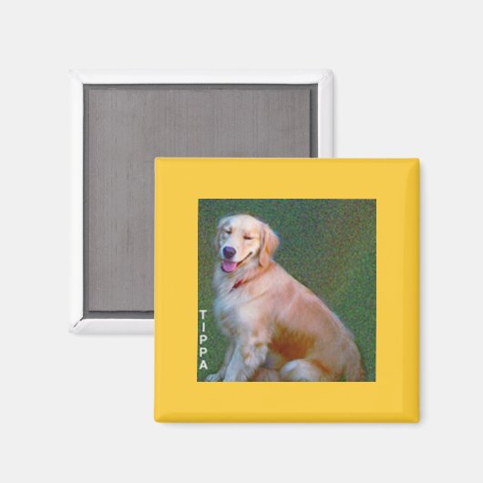 Golden Retriever Magnet (Voorkant / Achterkant)