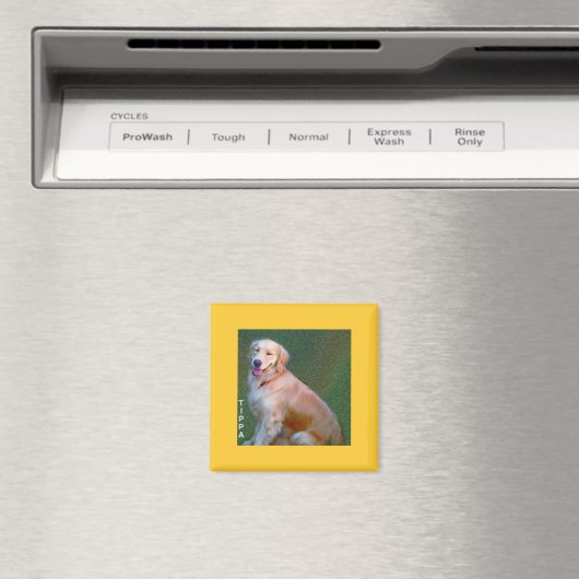 Golden Retriever Magnet (Insitu (Vaatwasser))