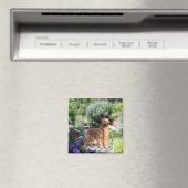 Golden Retriever Magnet (Insitu (Vaatwasser))