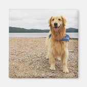 Golden Retriever Magnet (Voorkant)