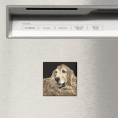 Golden Retriever Magnet - "Beer" (Insitu (Vaatwasser))