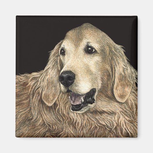 Golden Retriever Magnet - "Beer" (Voorkant)