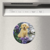 Golden Retriever Magnet Hydrangea (Insitu (Vaatwasser))