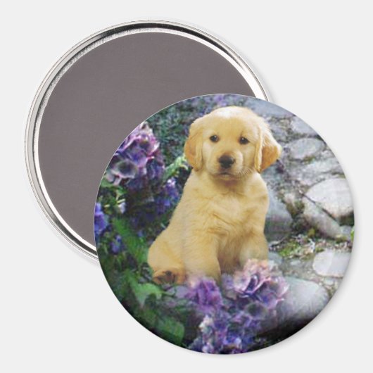 Golden Retriever Magnet Hydrangea (Voorkant / Achterkant)