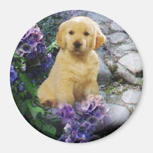 Golden Retriever Magnet Hydrangea (Voorkant)