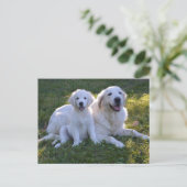 Golden Retriever Mam en Puppy Briefkaart (Staand voorkant)