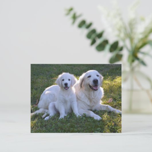 Golden Retriever Mam en Puppy Briefkaart (Staand voorkant)