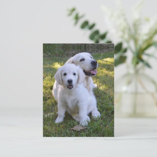 Golden Retriever Mam en Puppy Briefkaart (Staand voorkant)