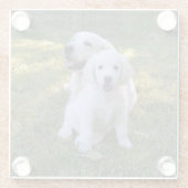 Golden Retriever Mam en Puppy Glazen Onderzetter (Achterkant)