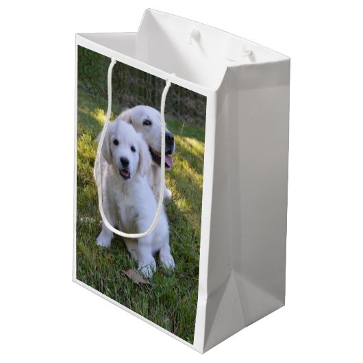 Golden Retriever Mam en Puppy Medium Cadeauzakje (Achterkant Gekanteld)