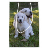 Golden Retriever Mam en Puppy Medium Cadeauzakje (Voorkant)