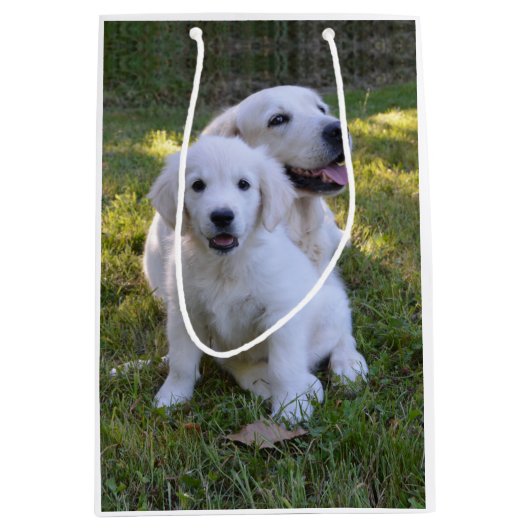 Golden Retriever Mam en Puppy Medium Cadeauzakje (Voorkant)