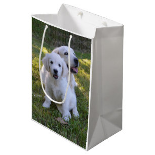 Golden Retriever Mam en Puppy Medium Cadeauzakje