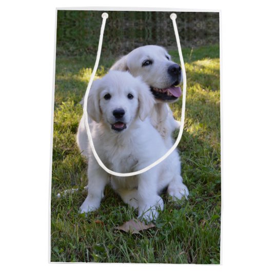 Golden Retriever Mam en Puppy Medium Cadeauzakje (Achterkant)