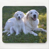 Golden Retriever Mam en Puppy Muismat (Voorkant)