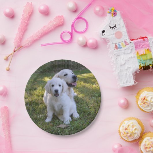 Golden Retriever Mam en Puppy Papieren Bordje (Feest)