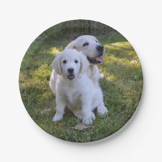 Golden Retriever Mam en Puppy Papieren Bordje (Voorkant)