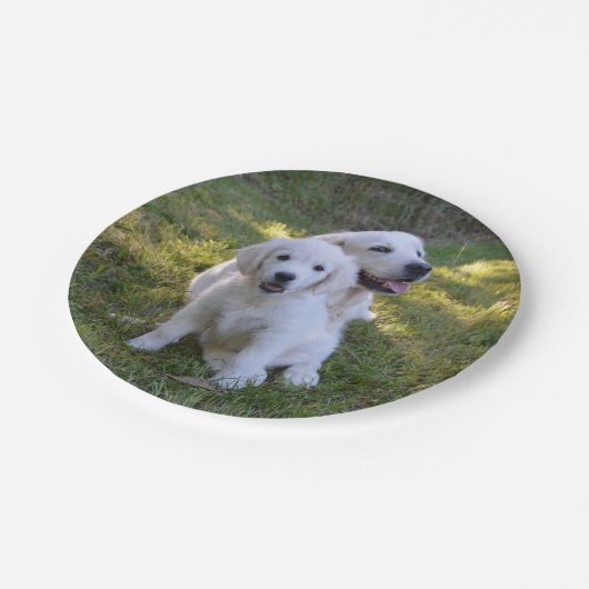 Golden Retriever Mam en Puppy Papieren Bordje (Gekanteld)