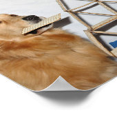 Golden Retriever Matzoh Fun Passover Poster (Hoek)