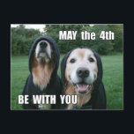 Golden Retriever May the 4th Be With You Parody Briefkaart<br><div class="desc">This parody postcard features a fotograph of two golden retriever dogs dressed in sci fi pak,  with the saying,  "May the 4th Be With You". Customizable text on the back reads,  "Enjoy the day,  you will".</div>