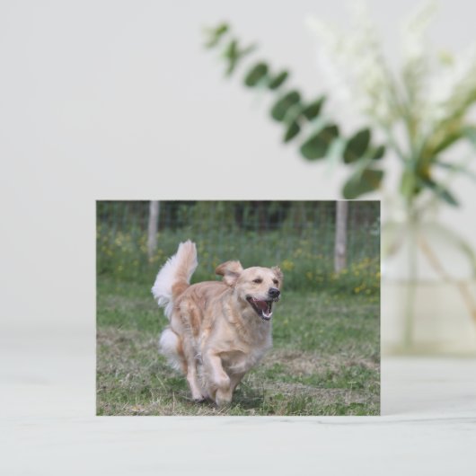 Golden Retriever met 1 Briefkaart (Staand voorkant)