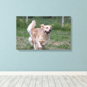 Golden Retriever met 1 Canvas Afdruk (Insitu (Houten vloer))
